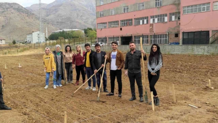 Batman'da Mereto Dağı eteklerinde ilk defa aspir bitkisi yetiştirilecek