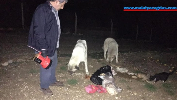 Bayat ekmekler sokak hayvanlarını besledi