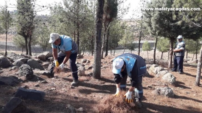 Belediye ekipleri yangınlara karşı ormanda temizlik yaptı