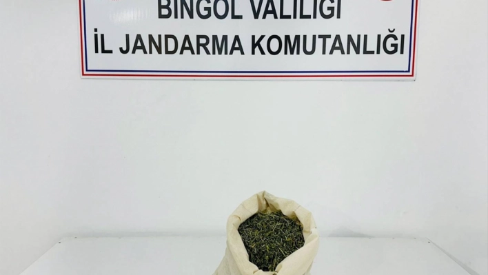 Bingöl'de 1 kilogram esrar ve uyuşturucu hap ele geçirildi