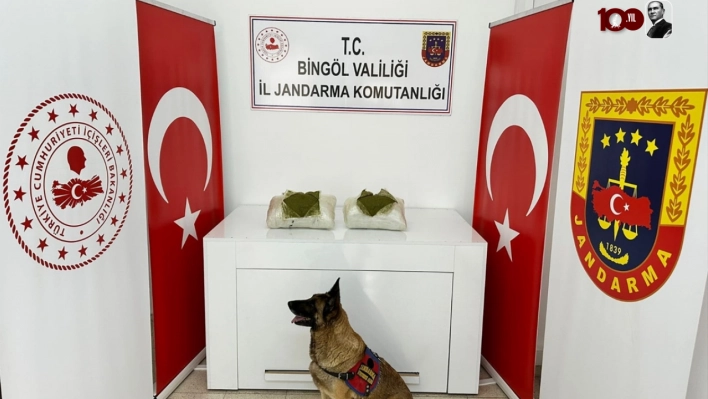 Bingöl'de 12 kilo 550 gram esrar ele geçirildi