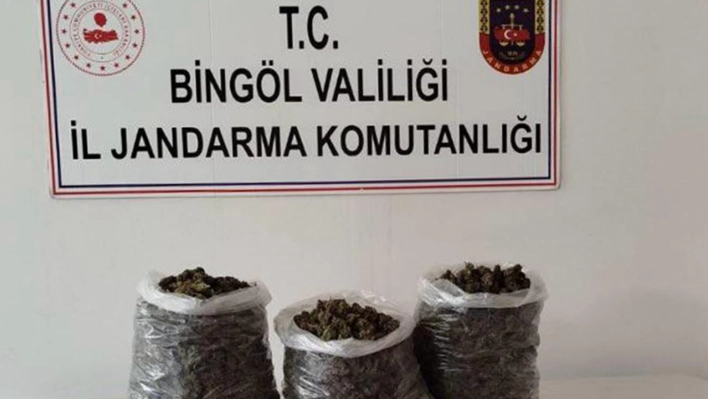 Bingöl'de 4 kilo 576 gram kubar esrar ele geçirildi