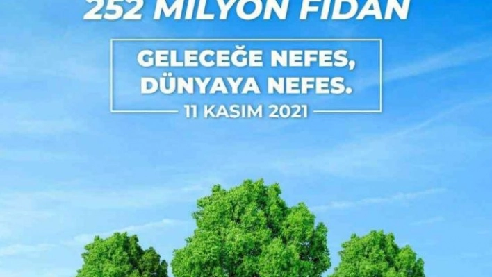 Bingöl'de 70 dönüme 5 bin fidan dikilecek