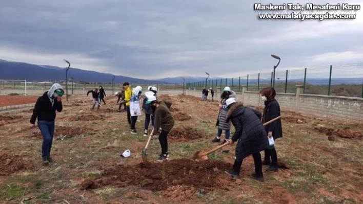 Bingöl'de bin 200 adet fidan toprakla buluşturuldu