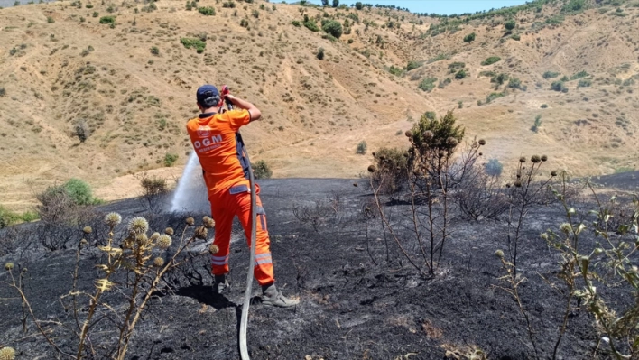 Bingöl'de ormanlık alanda çıkan yangın söndürüldü