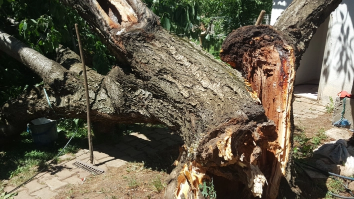 Bingöl'de şiddetli rüzgar hasara neden oldu