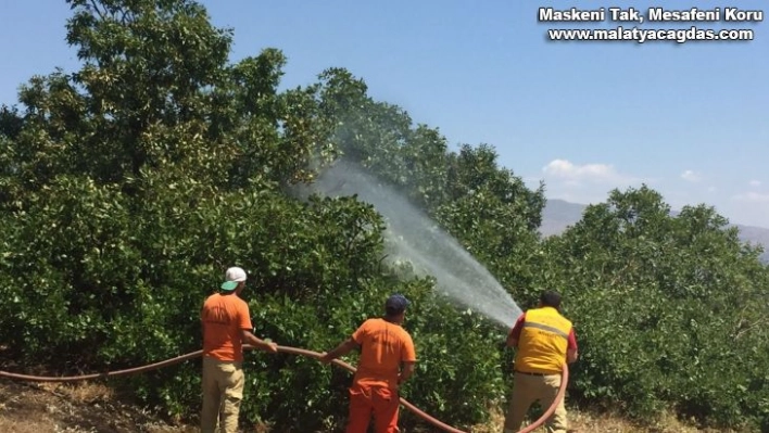 Bingöl'deki orman yangını söndürüldü, soğutma çalışmaları sürüyor