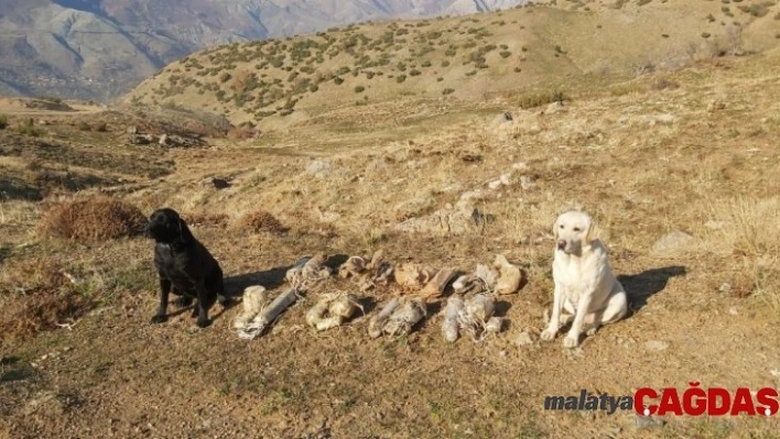 Bitlis'te terör örgütüne ait 8 adet EYP ele geçirildi