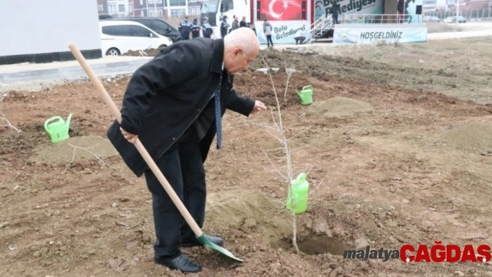 Bolu'da, 'Öğretmenler Günü' hatıra ormanı oluşturuldu