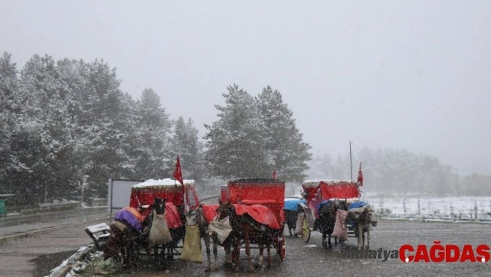 Bolu'da, Ruam hastalığı şüphesiyle 8 at karantinaya alındı