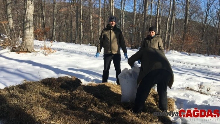 Bolu'da yaban hayvanları için yem bırakıldı