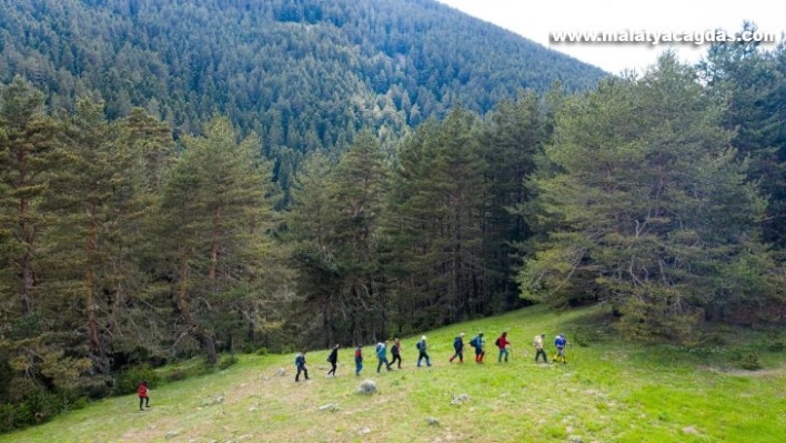 Bozkır'ın yaylaları Karadeniz'i aratmıyor