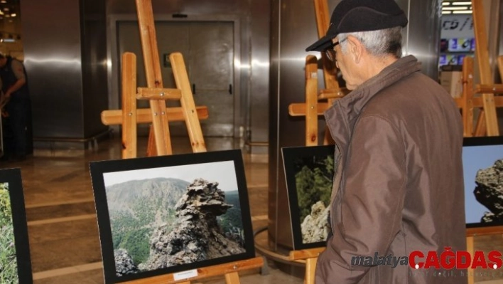 Bu fotoğraflara bakan bir daha baktı