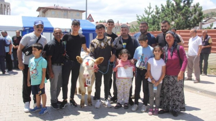 Bu kez podyuma buzağılar çıktı