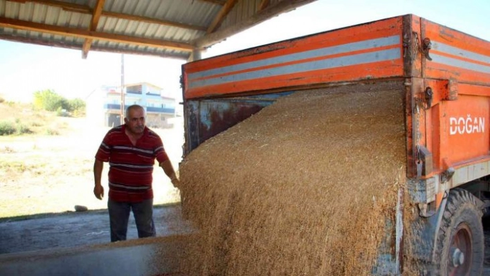 Buğday üretiminde rekor kırılan Sivas'ta yeni sezona hazırlık başladı