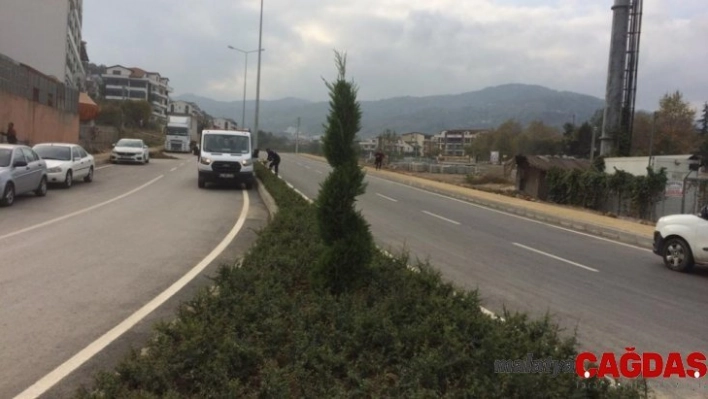 Büyükşehir Bahriye Üçok Caddesi'ni yeşillendirdi