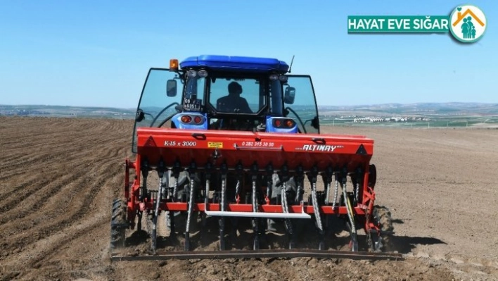 Büyükşehir Belediyesine ait tarım arazilerinde üretim başlıyor