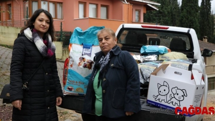 Büyükşehir'den STK'lara mama desteği