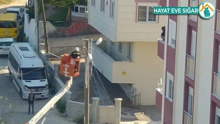 Camdan silkelediği halı, elektrik direğine asılı kaldı