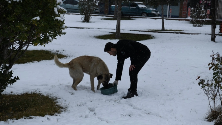 Can Dostlarımız Bize Allah'ın Emanetidir