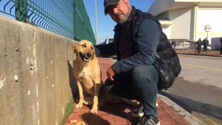 Can dosttan yarasını tedavi eden sağlık çalışanına vefa