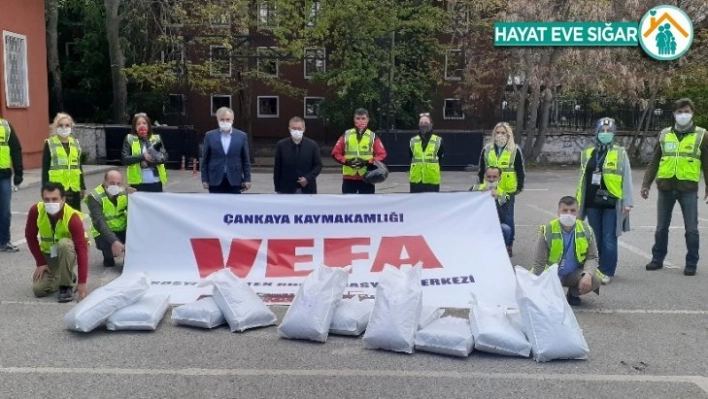 Çankaya'da sokak hayvanlarına mama takviyesi