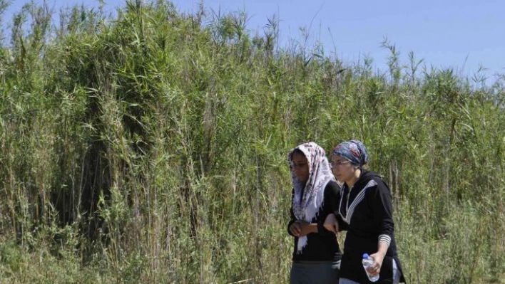 Ceyhan Nehri'nde kaybolan çocuk 3 gündür aranıyor