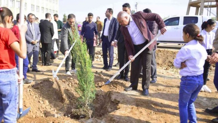 Ceylanpınar'da 26 bin fidan toprakla buluştu