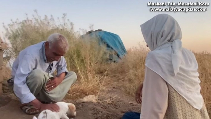 Çocuğu olmayan yaşlı çift ölen köpekleri için gözyaşı döktü