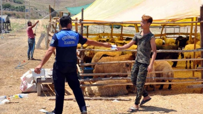 Çukurova'da kurban satış ve kesim yerleri belirlendi