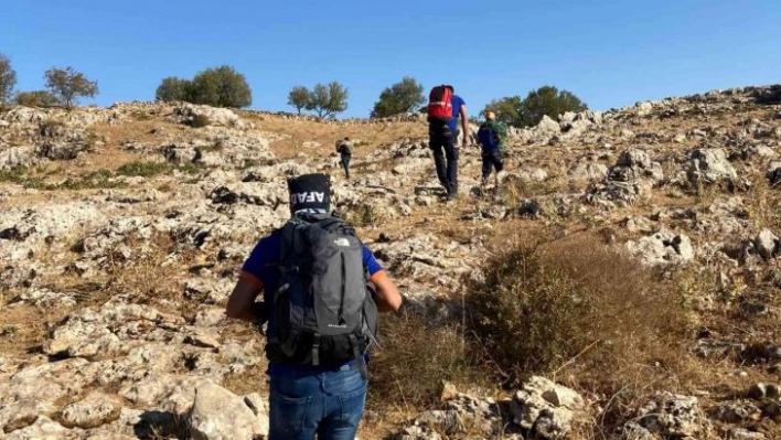 Dağlık alanda iki gündür kayalıklarda sıkışıp, yorgun düşen koyunu AFAD ekipleri kurtardı