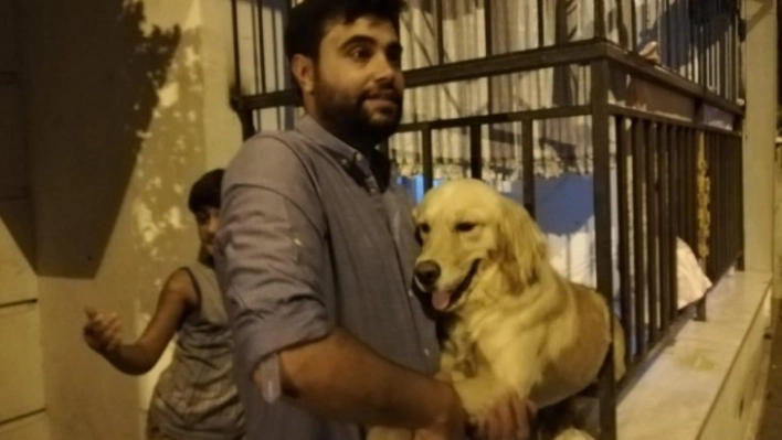 Demir parmaklıklara sıkışan köpek kurtarıldı