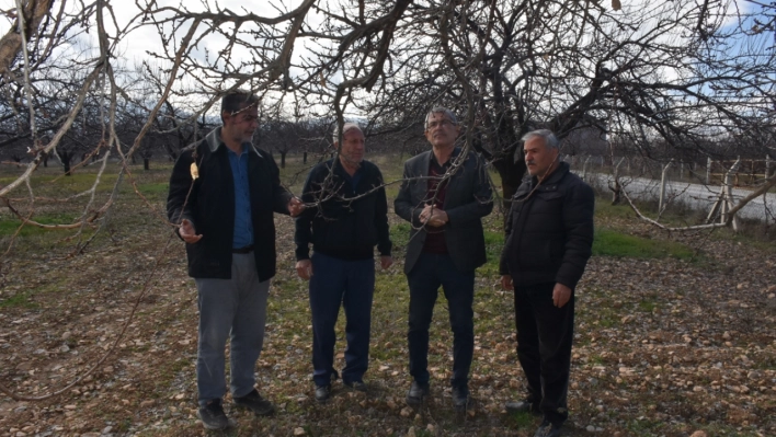 Depremzede kayısı üreticilerinden gübre ve ilaç desteği talebi