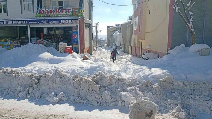 Dicle'de kar yağışı hayatı olumsuz etkiledi