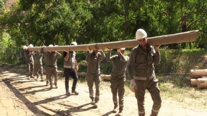 Dicle Elektrik şebekeyi kışa hazırlıyor