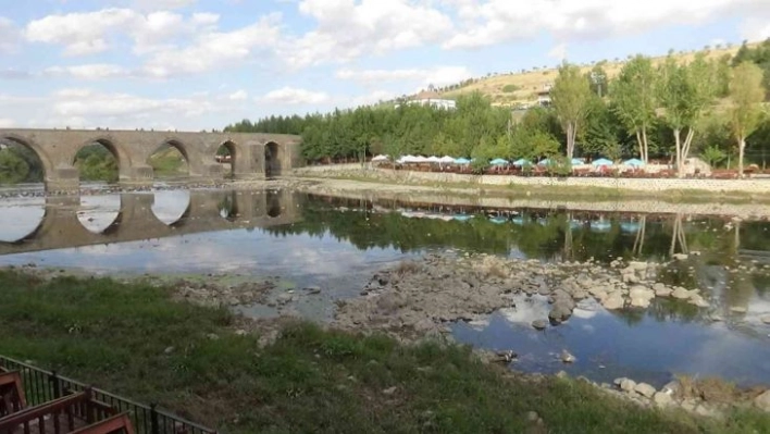 Dicle Nehri'nde balık ölümleri vatandaşları tedirgin etti