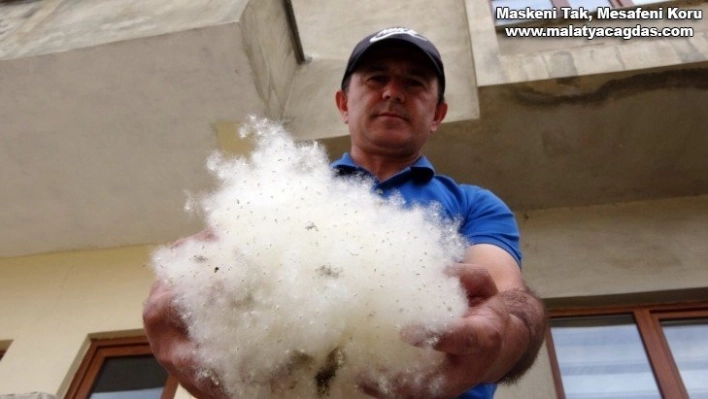 Dışarıyı beyaza bürüyen polenler görenleri şaşırttı