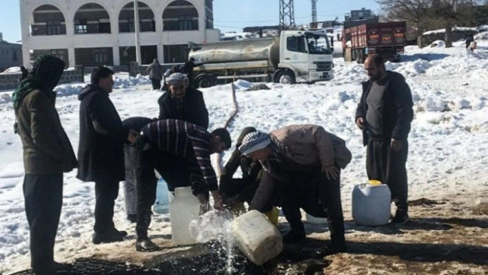 Diyarbakır'da besicilere tankerlerle su taşındı