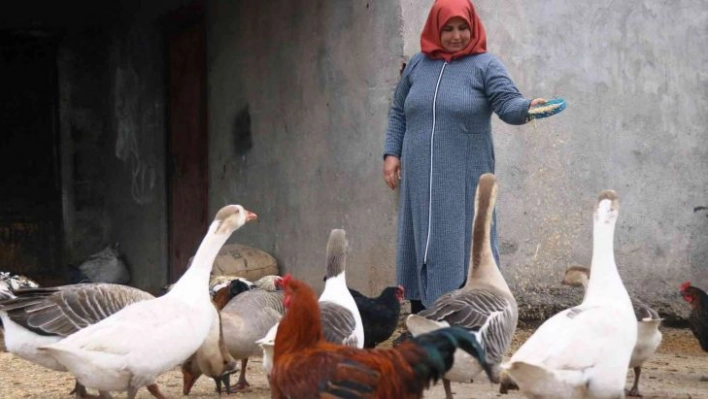 Diyarbakır'da kırsal mahallenin 'tek kadın muhtarı' koltuğu eşinden aldı