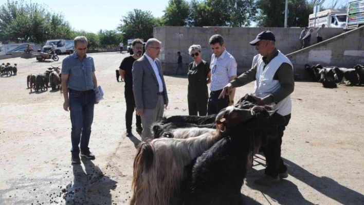 Diyarbakır'da kurbanlık satış ve kesim yerleri belirlendi