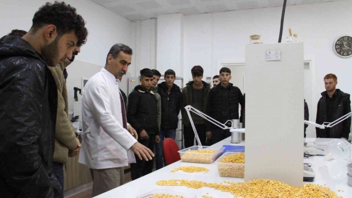 Diyarbakır'da meslek lisesi öğrencileri yem, hububat ve un analizi yaptı