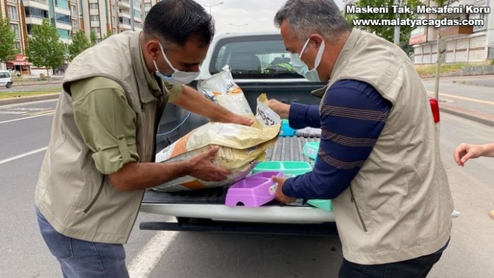 Diyarbakır'da tam kapanma döneminde sokak hayvanları unutulmadı