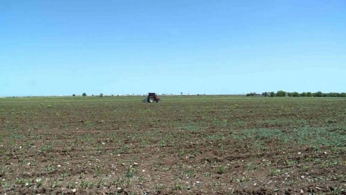 Diyarbakır ve çevresinde etkili olan yağışlar çiftçinin yüzünü güldürecek