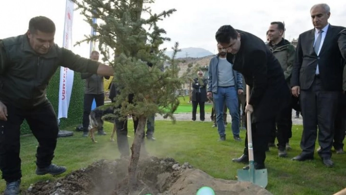 Doğa harikası Tortum Şelalesi'nin çehresi yeni dikilen fidanlarla değişecek