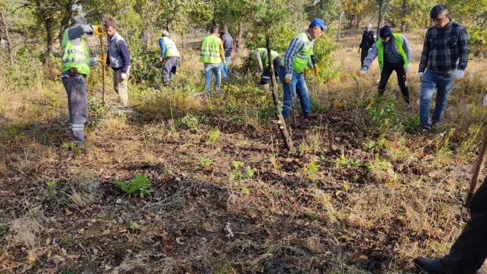 Doğanşehir Belediyesi 39 Mahallede Mezarlık Temizliği Yapıyor