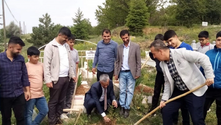 Doğanşehir'de mezarlıkta bakım ve ağaçlandırma çalışması yapıldı