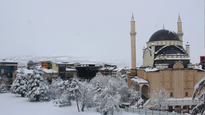 Doğu Anadolu'nun kuzeyinde kuvvetli kar yağışları bekleniyor