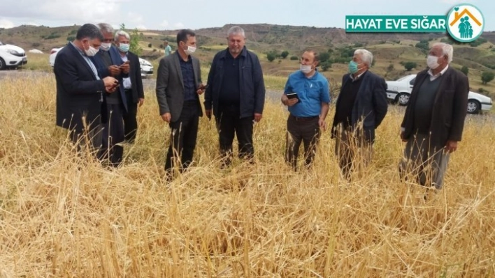 Dolu sonrası hasar tespit çalışmaları başladı