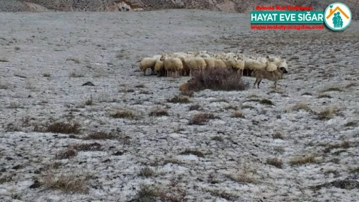 Doluya yakalanan sürü sahibi zor anlar yaşadı