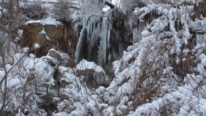 Donduran soğuğa şelale de dayanamadı